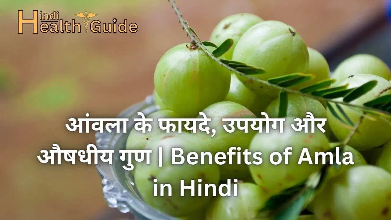 आंवला के फायदे, उपयोग और औषधीय गुण Benefits of Amla in Hindi